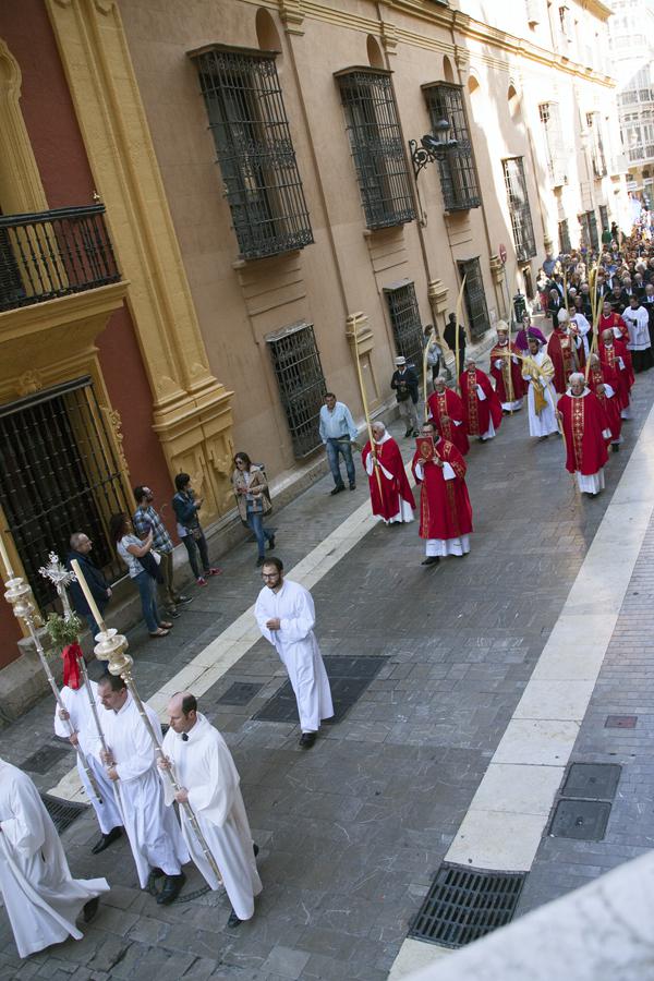 Procesión del Domingo de Ramos 2017 desde San Agustín a la Catedral 