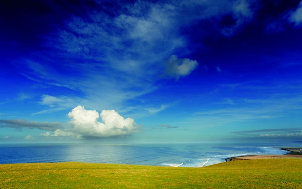 Los cruzados, primeros carmelitas