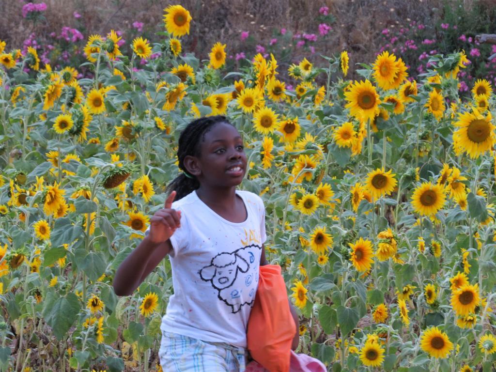 Un verano inolvidable en el campamento MIES