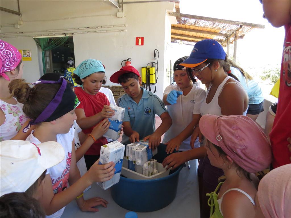 Las actividades unen al grupo