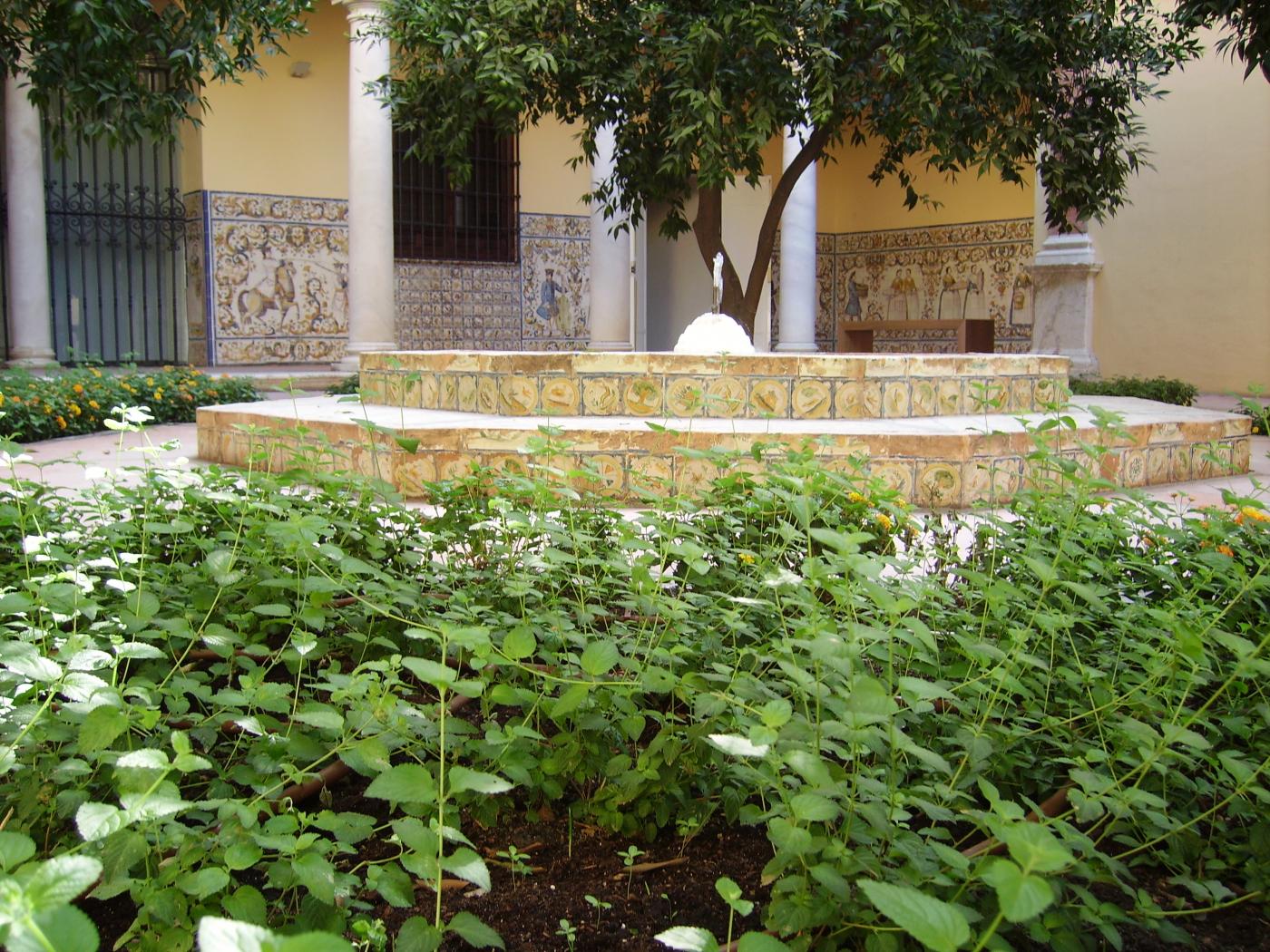 Se abre al público el Jardín Privado del Palacio Episcopal