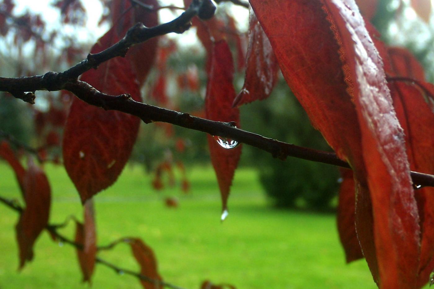 El Año de la Vida Consagrada comienza con un retiro