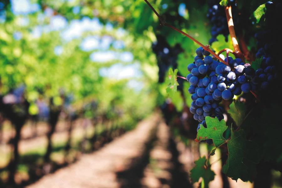 Jueves Santo: En el cenáculo, inicio del Triduo Pascual