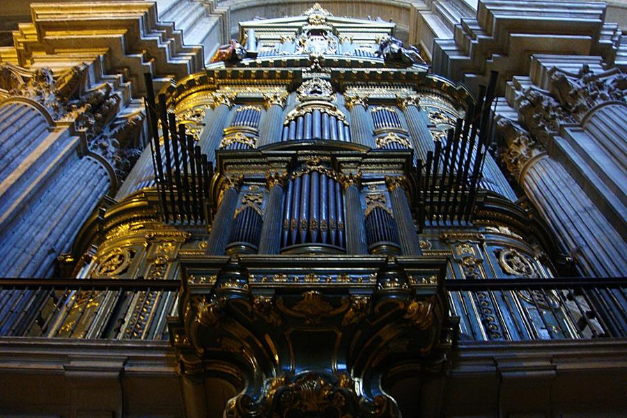 Conciertos del Centenario en la Catedral