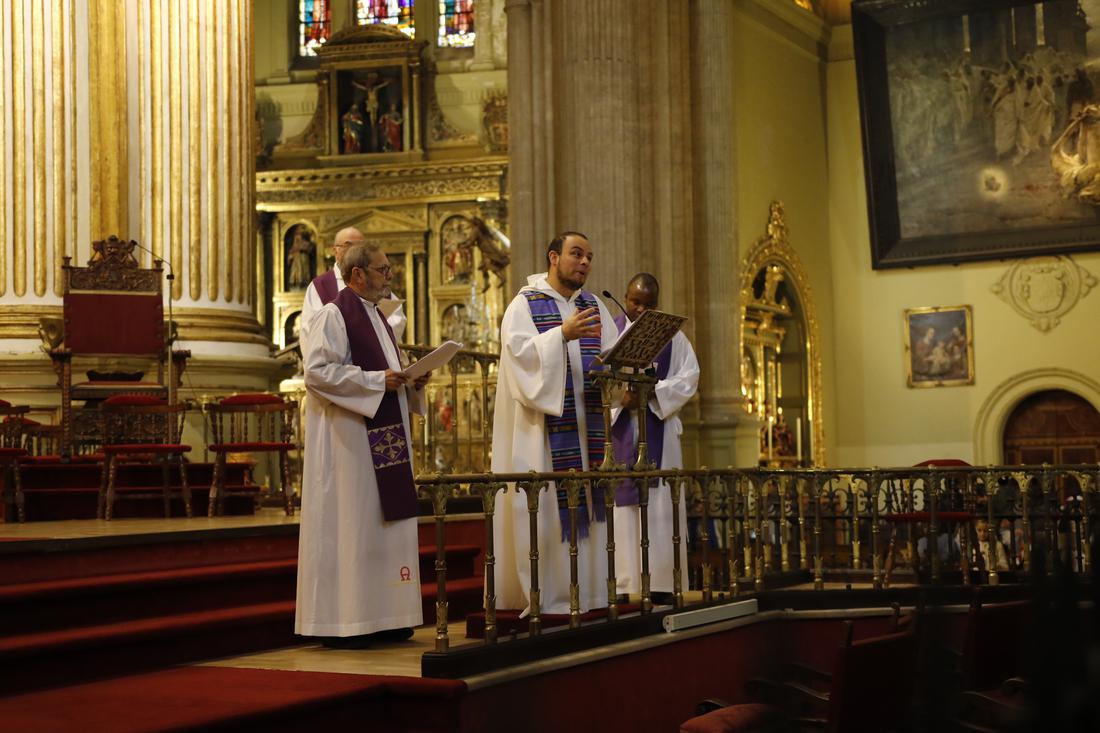 Jornada de Sembradores de Estrellas 2016. FOTO: S. FENOSA