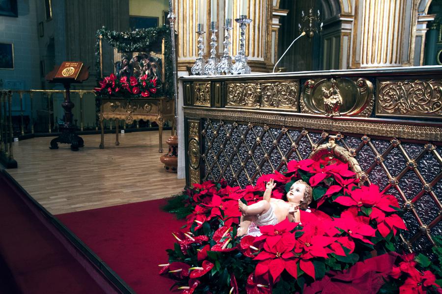 «El amor es la única fuerza que transforma la humanidad»