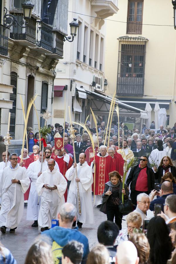 Procesión del Domingo de Ramos 2017 desde San Agustín a la Catedral. FOTO: M. ZAMORA