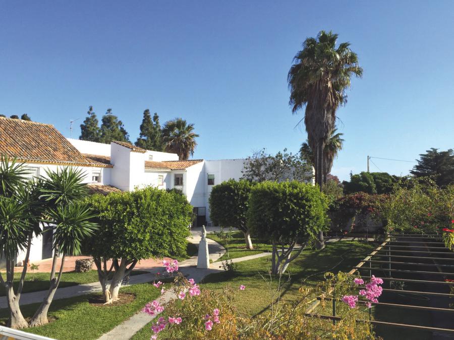 Las personas acogidas colaboran en el mantenimiento y cuidado del jardín de la casa