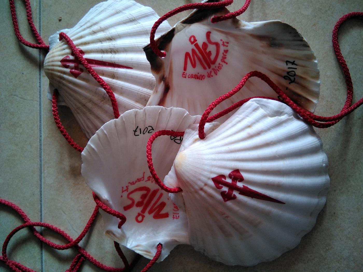 Conchas peregrinas con el logotipo de Mies