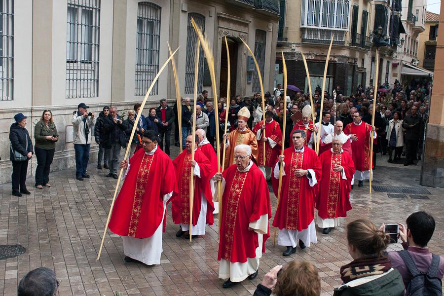 Domingo de Ramos en la Pasión del Señor // M. ZAMORA