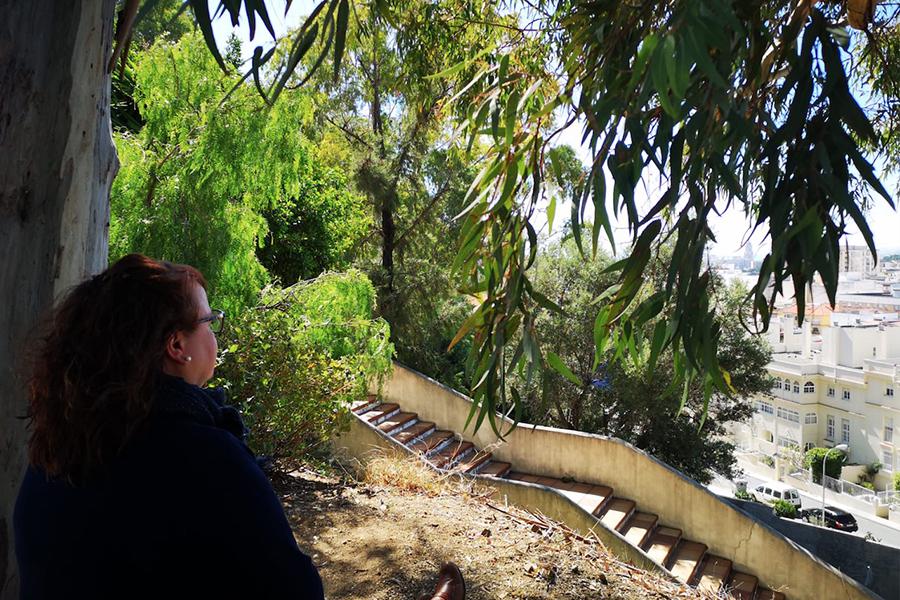 1 al 6 AGOSTO. Ejercicios Espirituales de San Ignacio, personalizados y en silencio