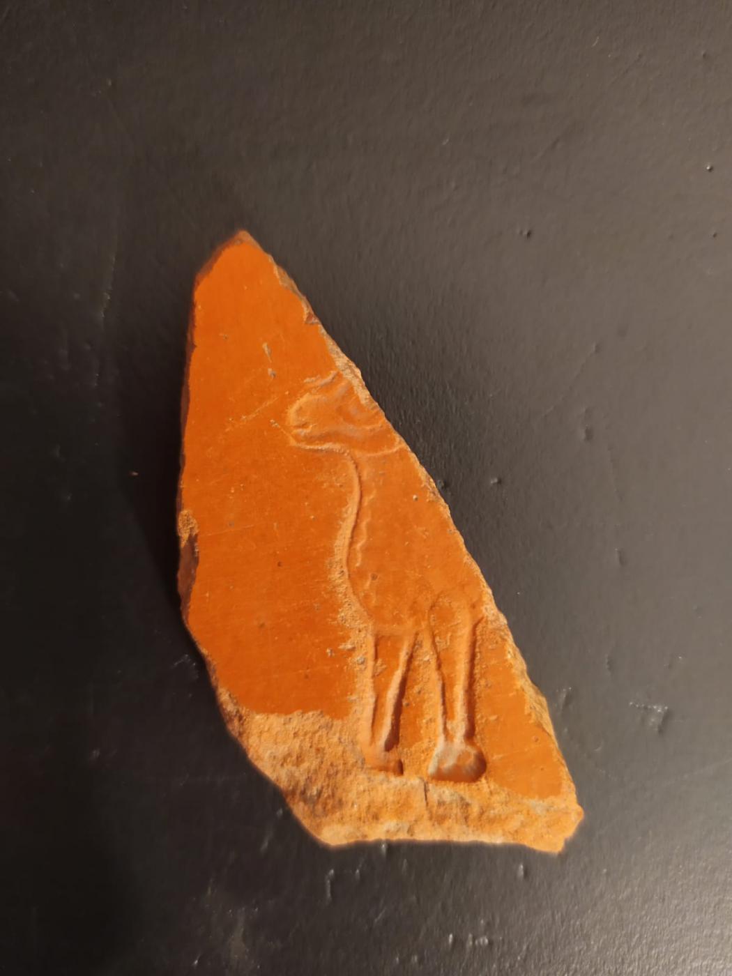 Se hallan restos paleocristianos bajo la iglesia del Sagrario