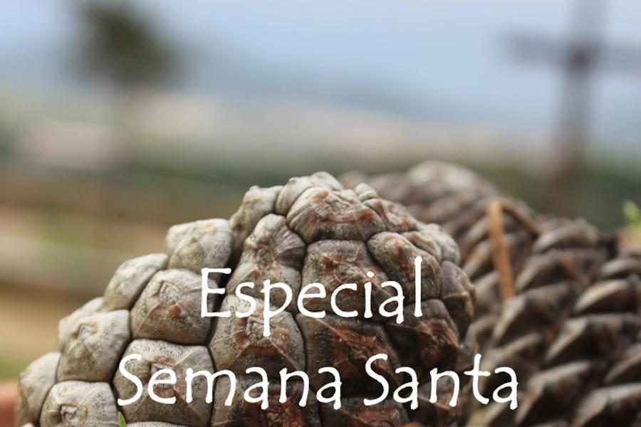 33 minutos para orar en Sábado Santo