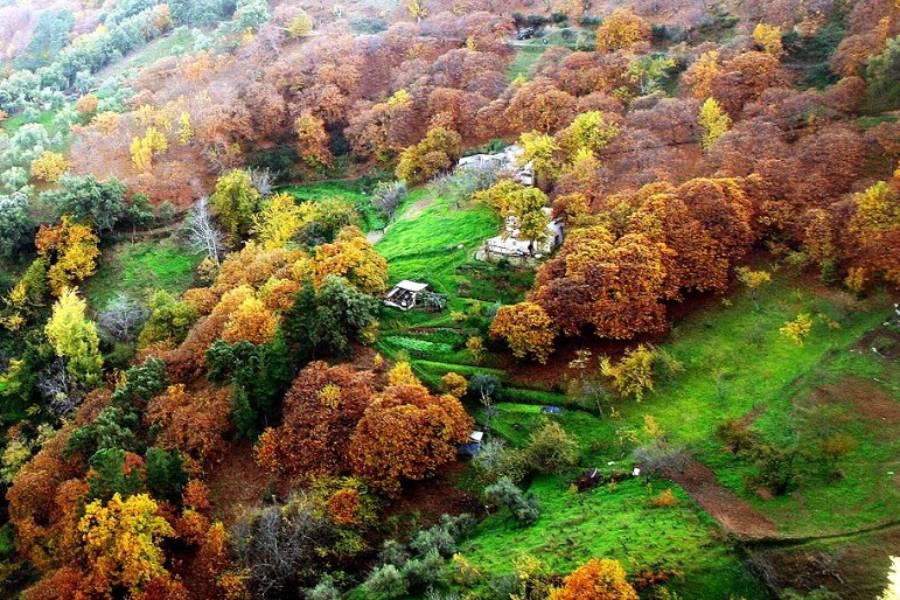 Bosque del cobre en Benalauría