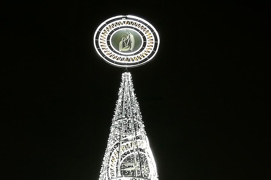 El árbol de la Marina