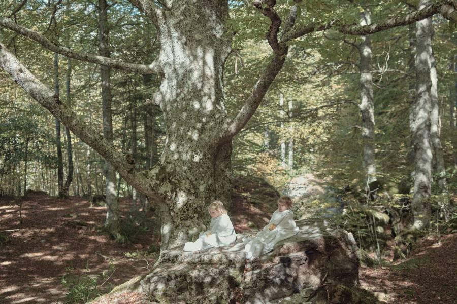 Sobre la vida gratis