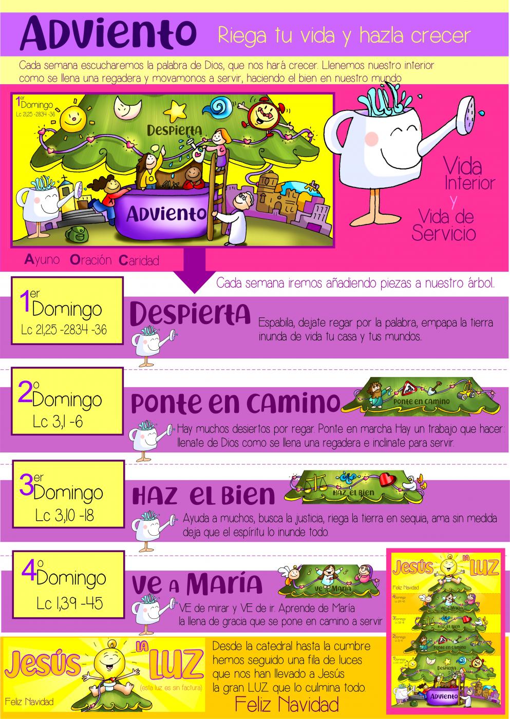 Adviento: riega tu vida y hazla crecer