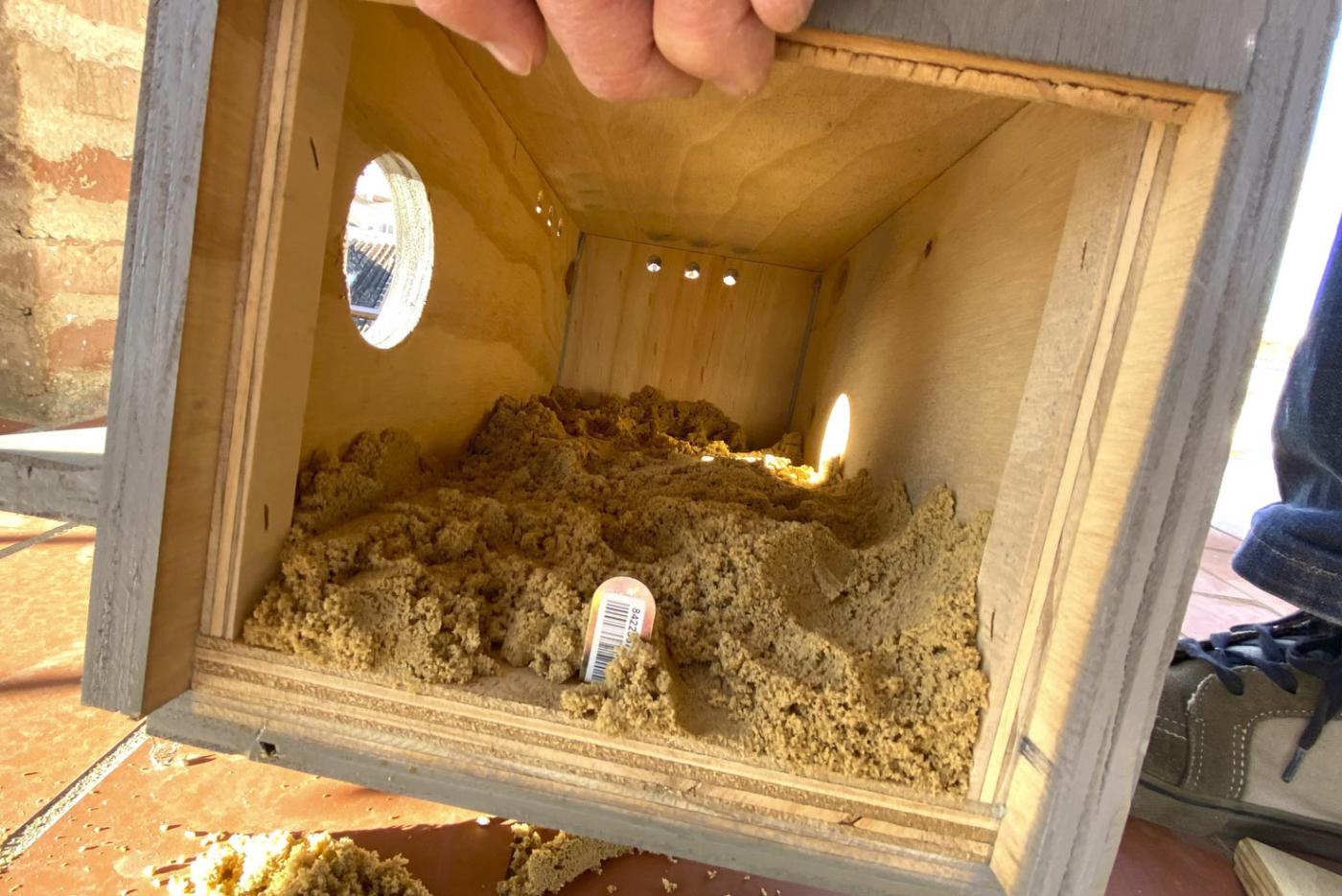 Interior de una de las cajas para ayudar a la nidificación del cernícalo primilla en Antequera. FOTO: Francisco Rodríguez Rodríguez