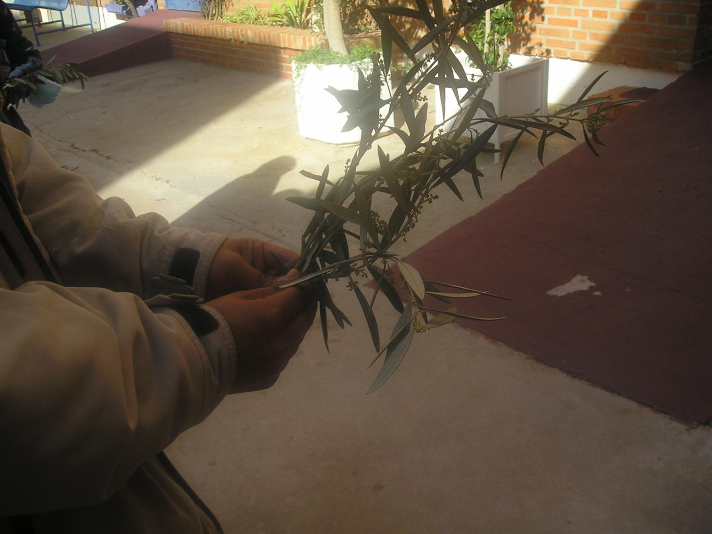 Semana Santa en las cárceles de Málaga