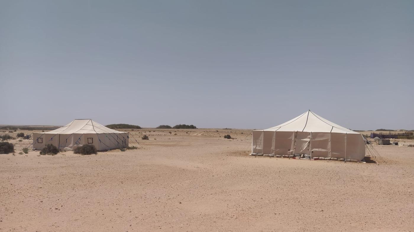 Día 10. Un oasis en mitad del desierto