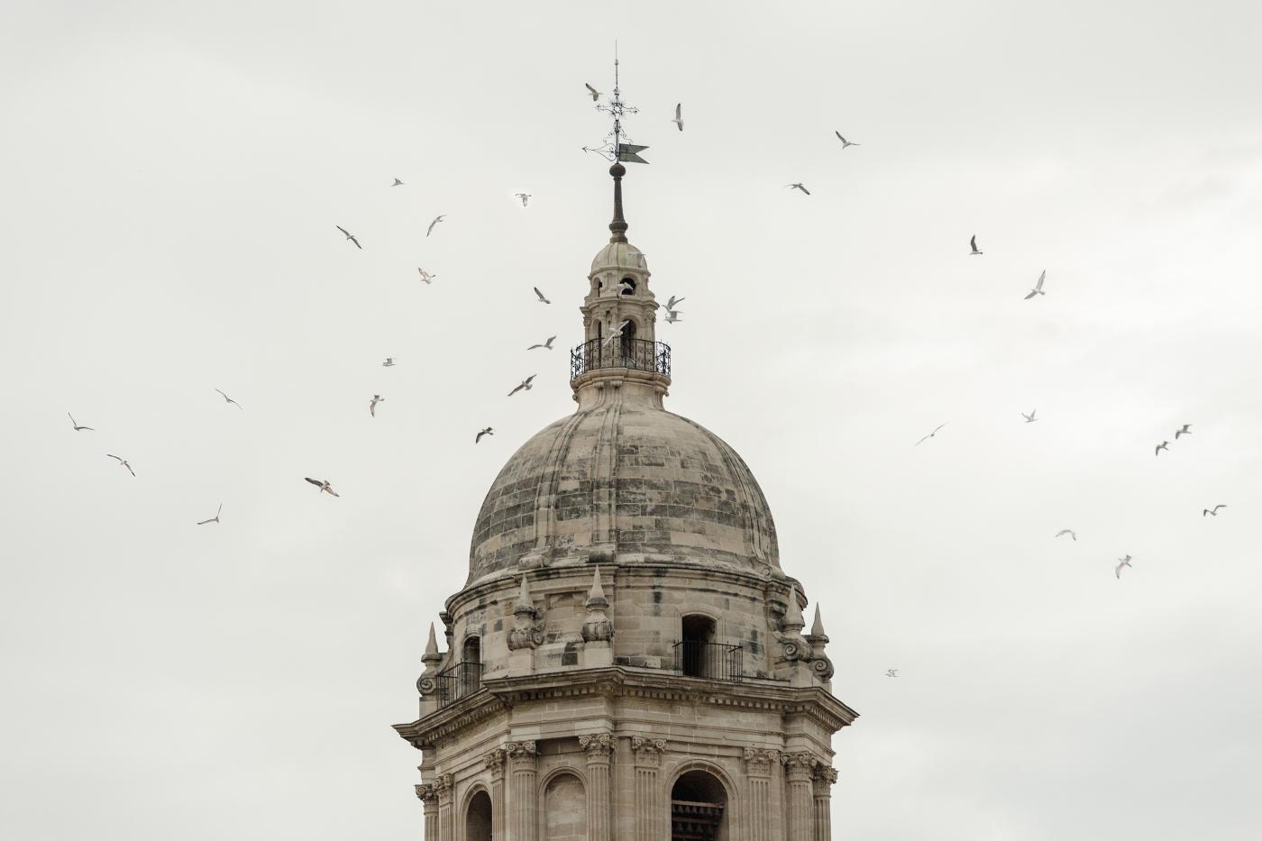 Torre de la Catedral de Málaga. FOTO: FERNANDO ALDA