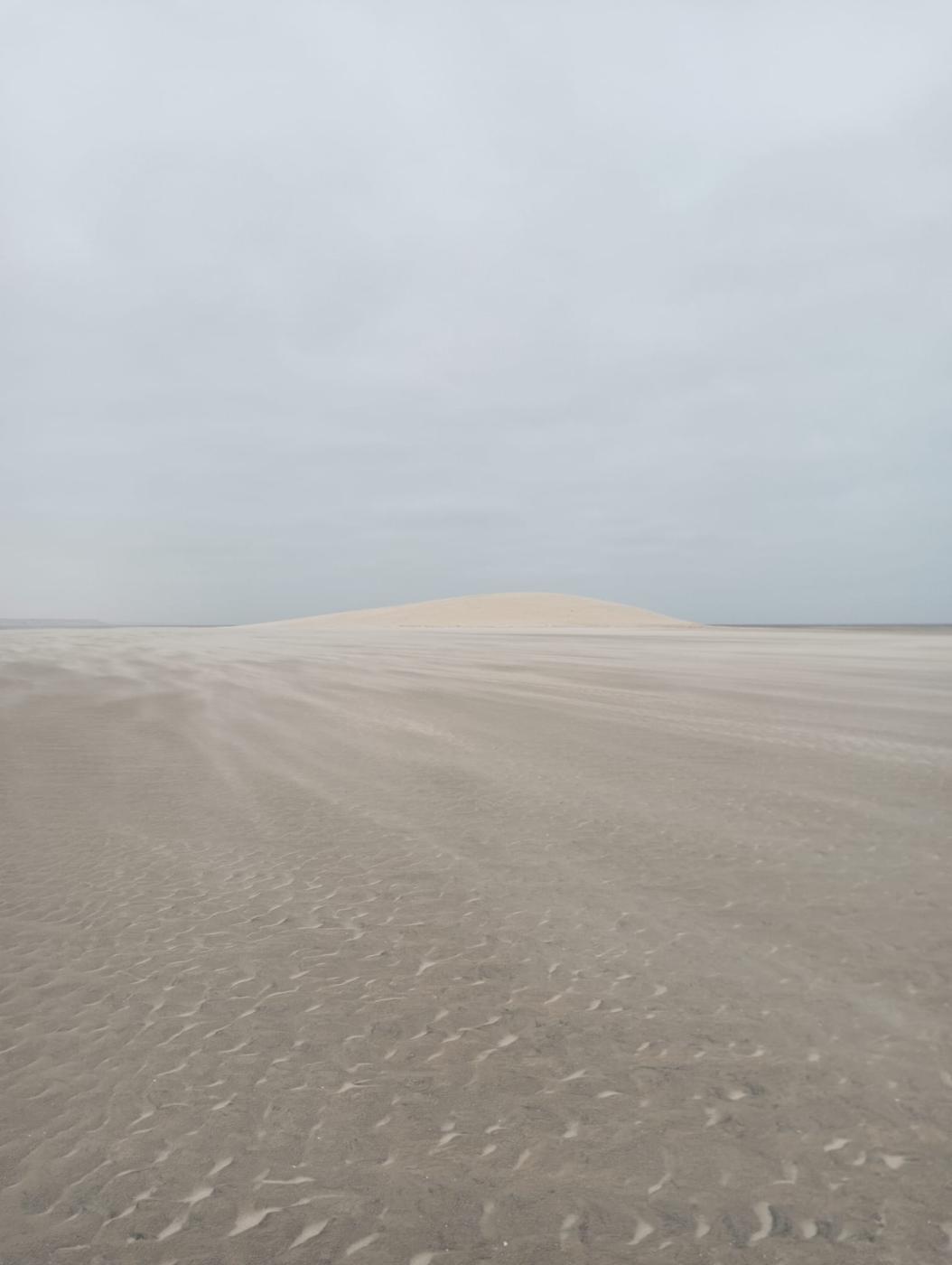 «Una experiencia que superó nuestras expectativas, nos tocó el corazón y nos llenó de gozo»