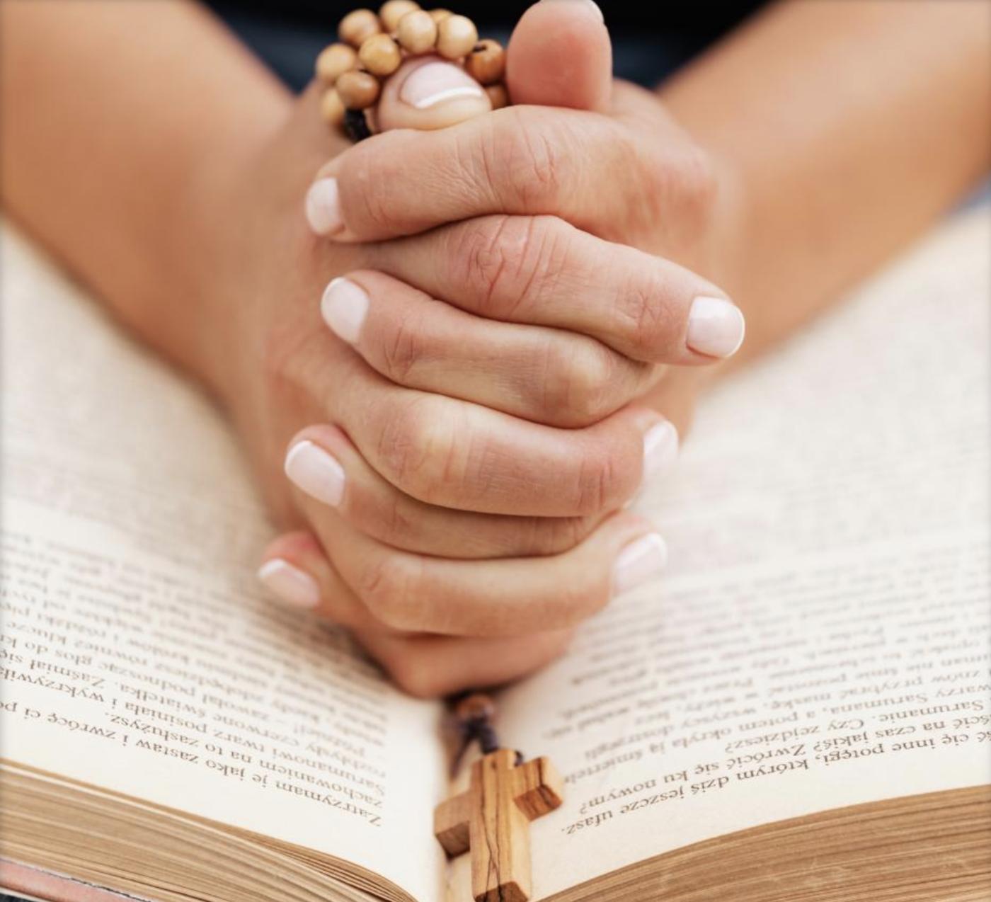 Jóvenes rezan el Rosario en directo en Instagram por la paz en el mundo