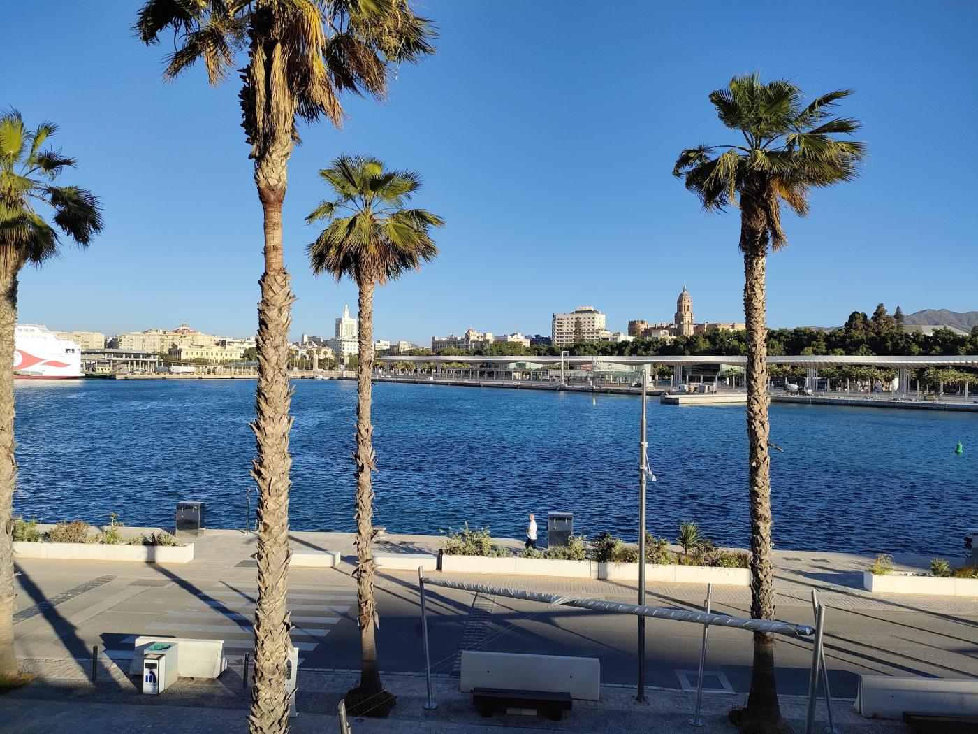 Marcha solidaria por el centenario de las Carmelitas del Sagrado Corazón de Jesús