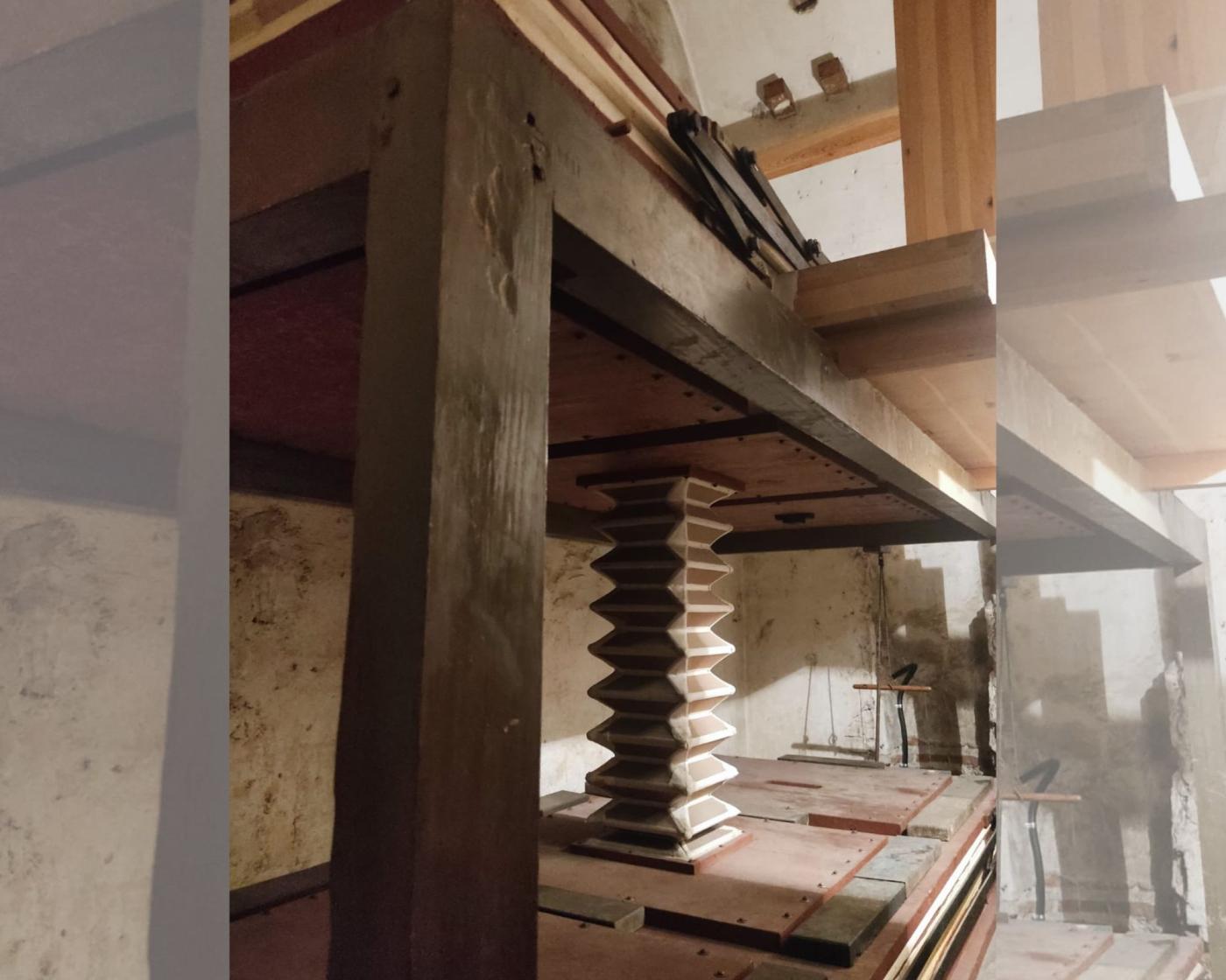 Los pulmones de los órganos