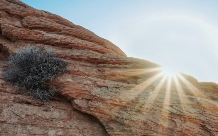Comentario en texto al Evangelio de Encarni Llamas