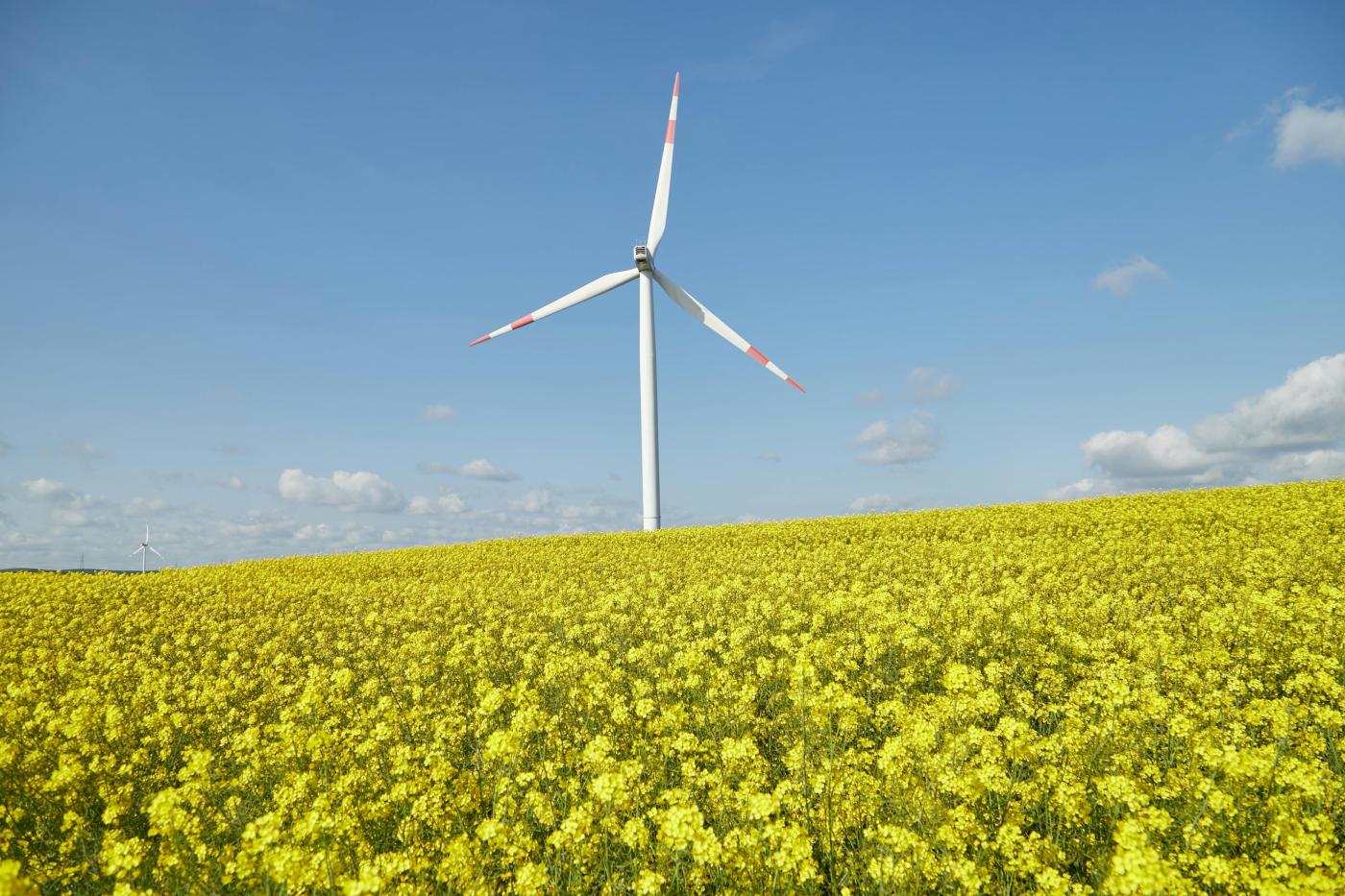 La Institución Teresiana organiza un Curso de Economía Social y Desarrollo Sostenible