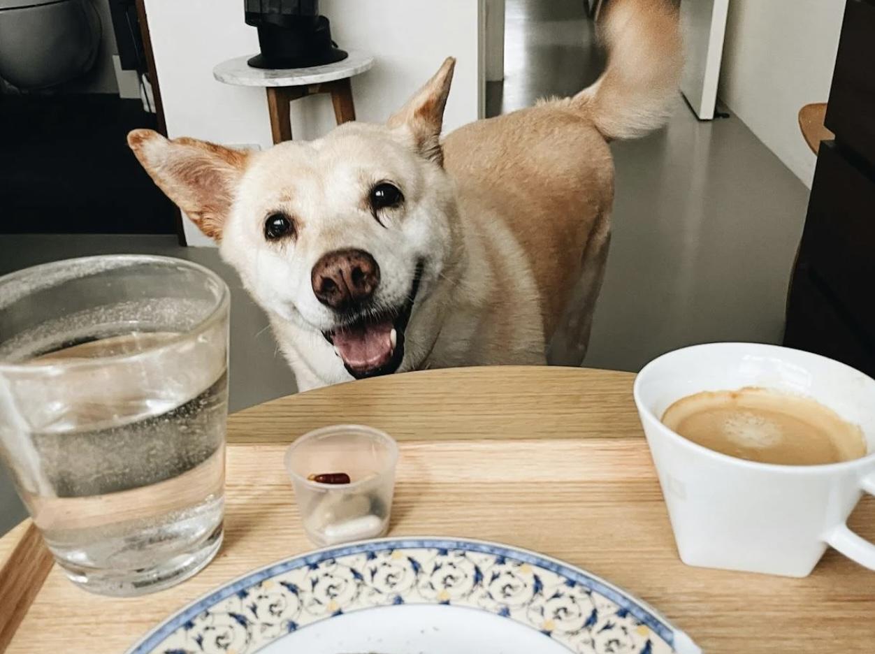 Comentario en texto al Evangelio del periodista Antonio Moreno