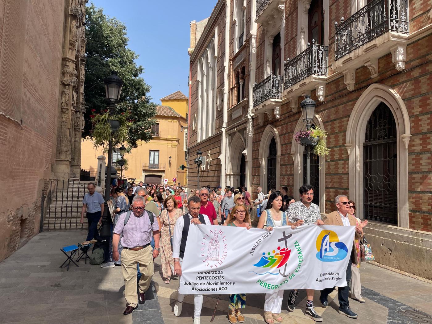Los laicos peregrinaron juntos a la Catedral en Pentecostés
