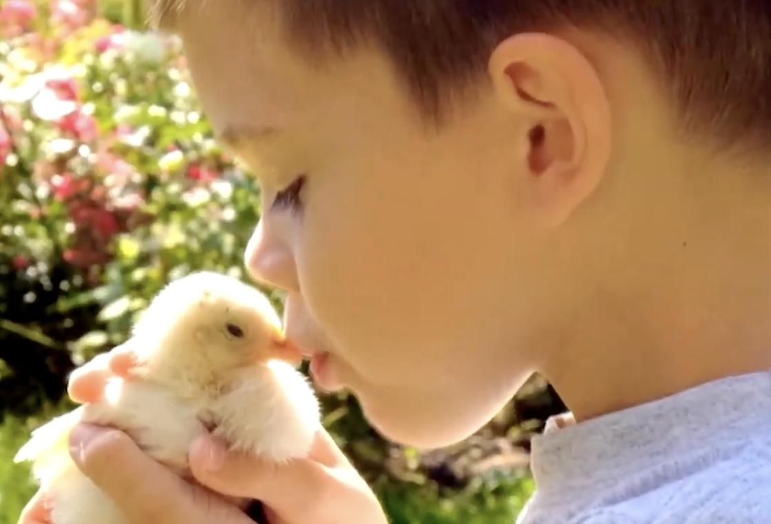 Papa León XIV: «Todas las criaturas son amadas por Dios y dignas de amor y respeto»